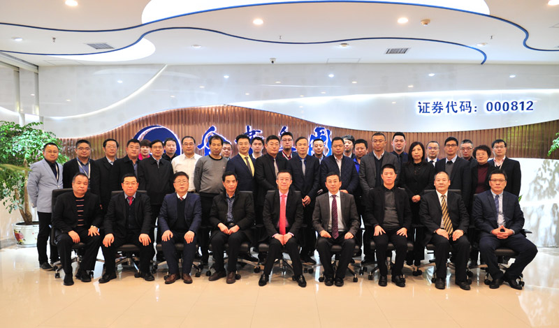 金葉集團2018年工作總結(jié)暨2019年工作計劃會議順利召開