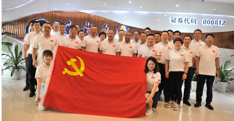 紀(jì)念百年路  聚焦奮進(jìn)時(shí)——金葉集團(tuán)黨委熱烈慶祝建黨100周年